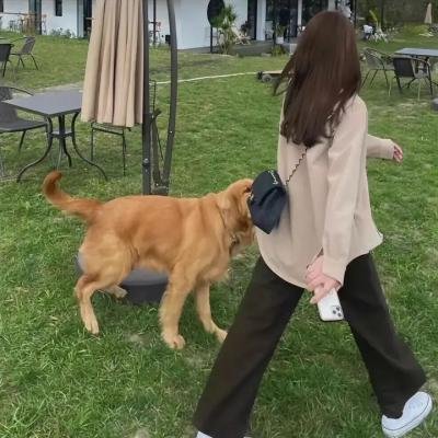 致命催眠